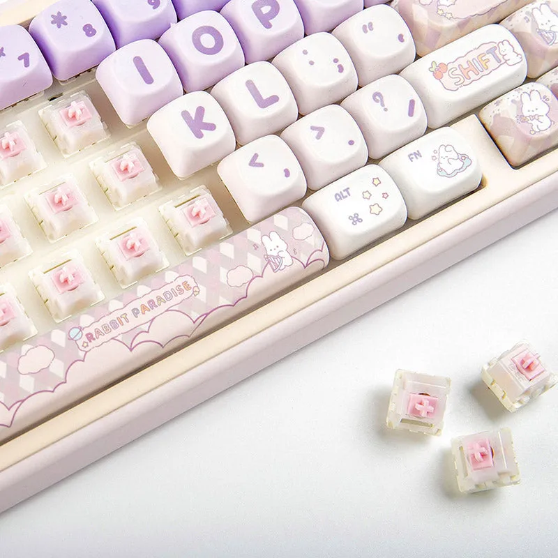 ACGAM x Space Studio Loopy Linear Switches