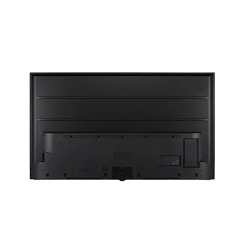 AVARRO V2-P65ES 65" Pro E Series 4K Ultra HD LED Commercial Display