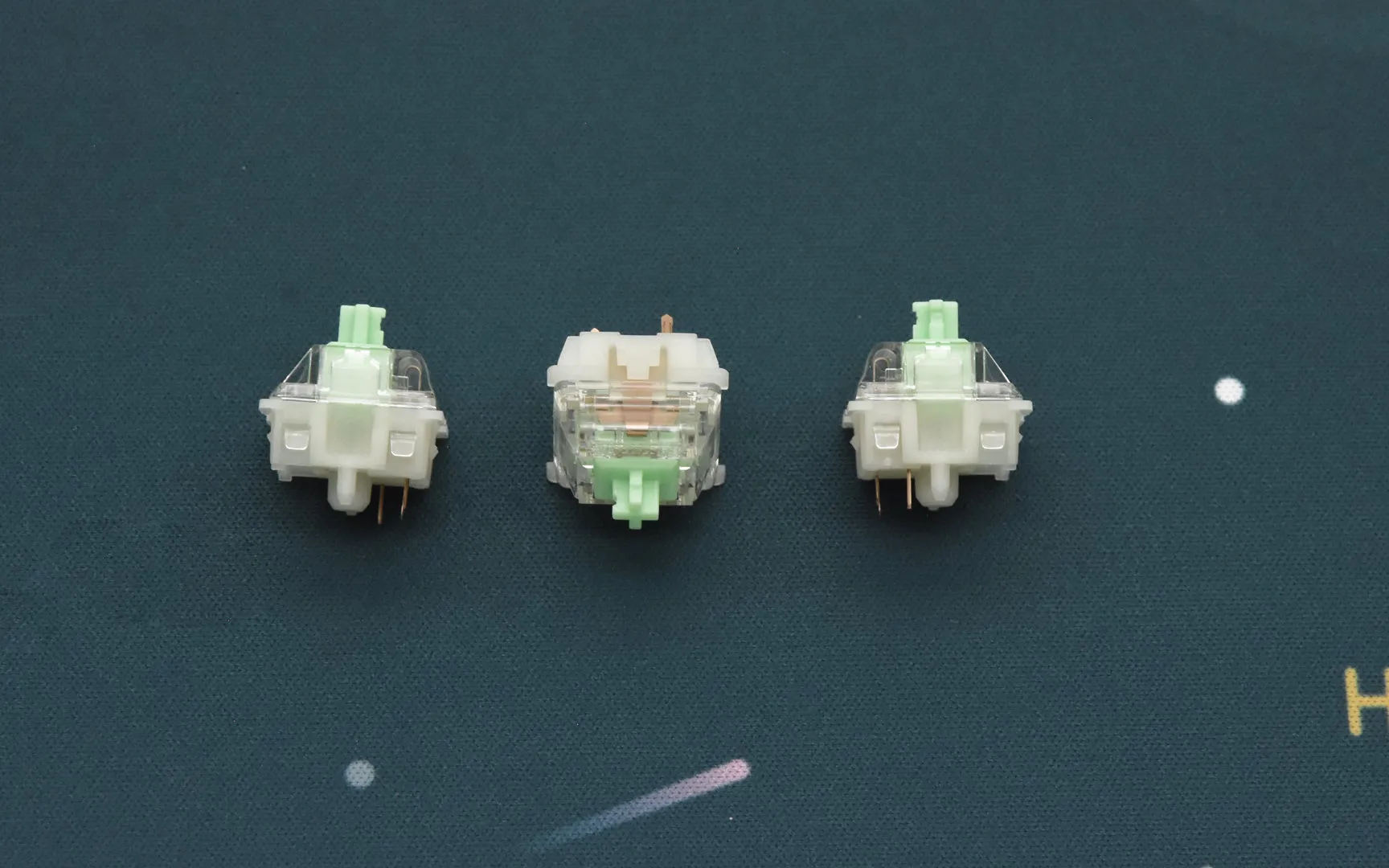 GATERON BABY KANGAROO TACTILE SWITCH (10 PCS)