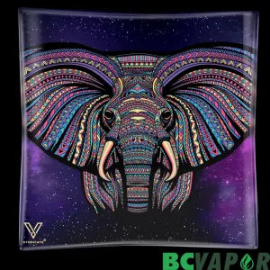 Glass Syndicate Elephant Ashtray