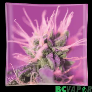 Glass Syndicate Pink Limonade Ashtray