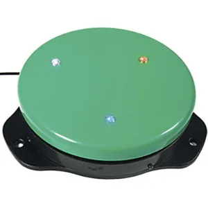 Jumbo Switch with Lights, Music and Vibration