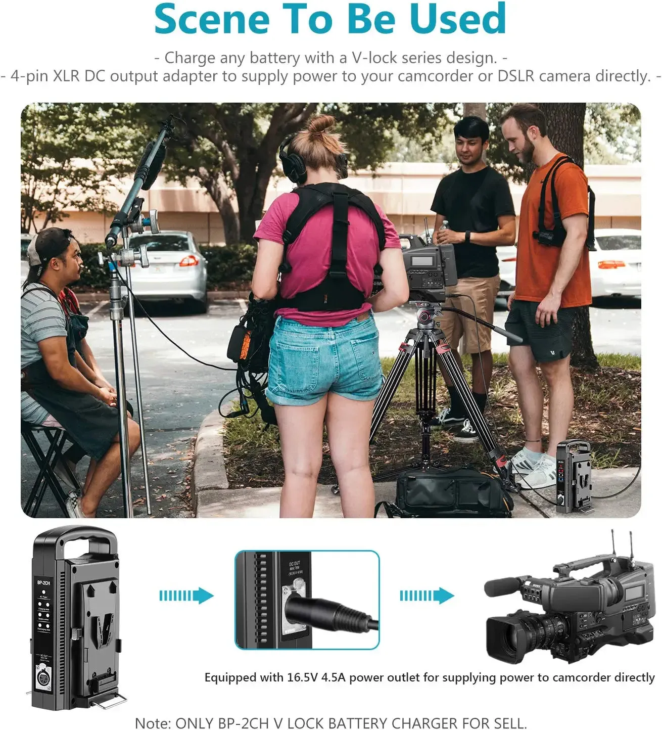 NEEWER Dual Channel V-Mount/V Lock Battery Charger